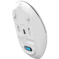 Мышь A4Tech Fstyler FG16C Air2 (белый) Мышь A4Tech Fstyler FG16C Air2 (белый)