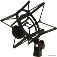Проводной микрофон AKG P420 (черный)