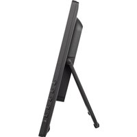 Портативный монитор Iiyama ProLite T2455MSC-B1