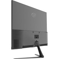 Монитор Raskat I24F10DA