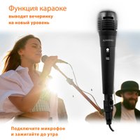 Беспроводная колонка SunWind SW-MS50