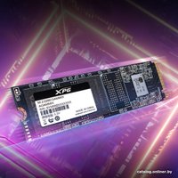 SSD ADATA XPG Gammix S50 Pro 1TB AGAMMIXS50P-1000G-B SSD ADATA XPG Gammix S50 Pro 1TB AGAMMIXS50P-1000G-B