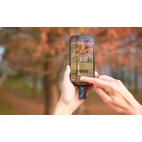 Внешний накопитель ADATA SC730 512GB SC730-512G-CACTI Внешний накопитель ADATA SC730 512GB SC730-512G-CACTI