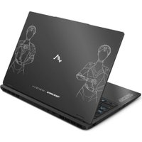 Игровой ноутбук Maibenben Typhoon X16B-R98956GQSHBRE3 64 ГБ + 2 ТБ