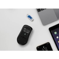 Мышь Rapoo 1510 (черный) Мышь Rapoo 1510 (черный)