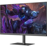 Игровой монитор ELSA EA241Q Pro