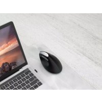 Вертикальная мышь Rapoo EV250 (черный)