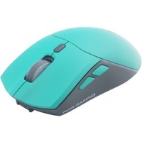 Мышь Raskat MG009WR