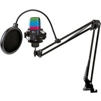 Проводной микрофон Ritmix RDM-270 (черный) Проводной микрофон Ritmix RDM-270 (черный)