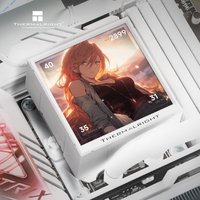 Система жидкостного охлаждения для процессора Thermalright Peerless Vision 360 ARGB (белый) Система жидкостного охлаждения для процессора Thermalright Peerless Vision 360 ARGB (белый)