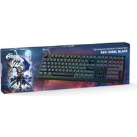 Клавиатура Ritmix RKB-508BL (черный/серый)