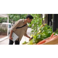 МФУ HP Color LaserJet Pro 3303fdn