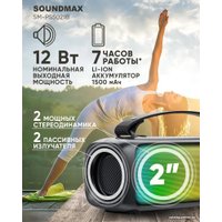 Беспроводная колонка Soundmax SM-PS5021B (черный)