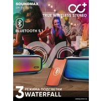 Беспроводная колонка Soundmax SM-PS5021B (черный)