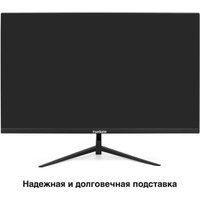Монитор ExeGate ProSmart EZ2400 EX299031RUS Монитор ExeGate ProSmart EZ2400 EX299031RUS