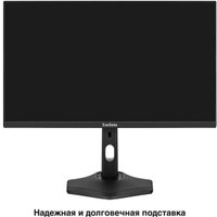 Монитор ExeGate ProSmart EZ2400C EX299032RUS Монитор ExeGate ProSmart EZ2400C EX299032RUS