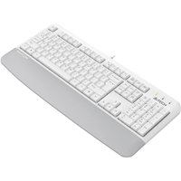 Клавиатура A4Tech Fstyler FK20 (белый)