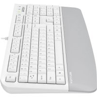 Клавиатура A4Tech Fstyler FK20 (белый)