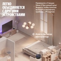 Умная колонка Яндекс Станция Мини 3 Про (черный) Умная колонка Яндекс Станция Мини 3 Про (черный)