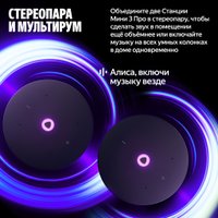 Умная колонка Яндекс Станция Мини 3 Про (черный) Умная колонка Яндекс Станция Мини 3 Про (черный)